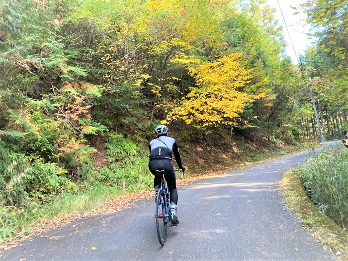 reric【5～10℃対応】アルドラ インサレーションジャケット インプレ