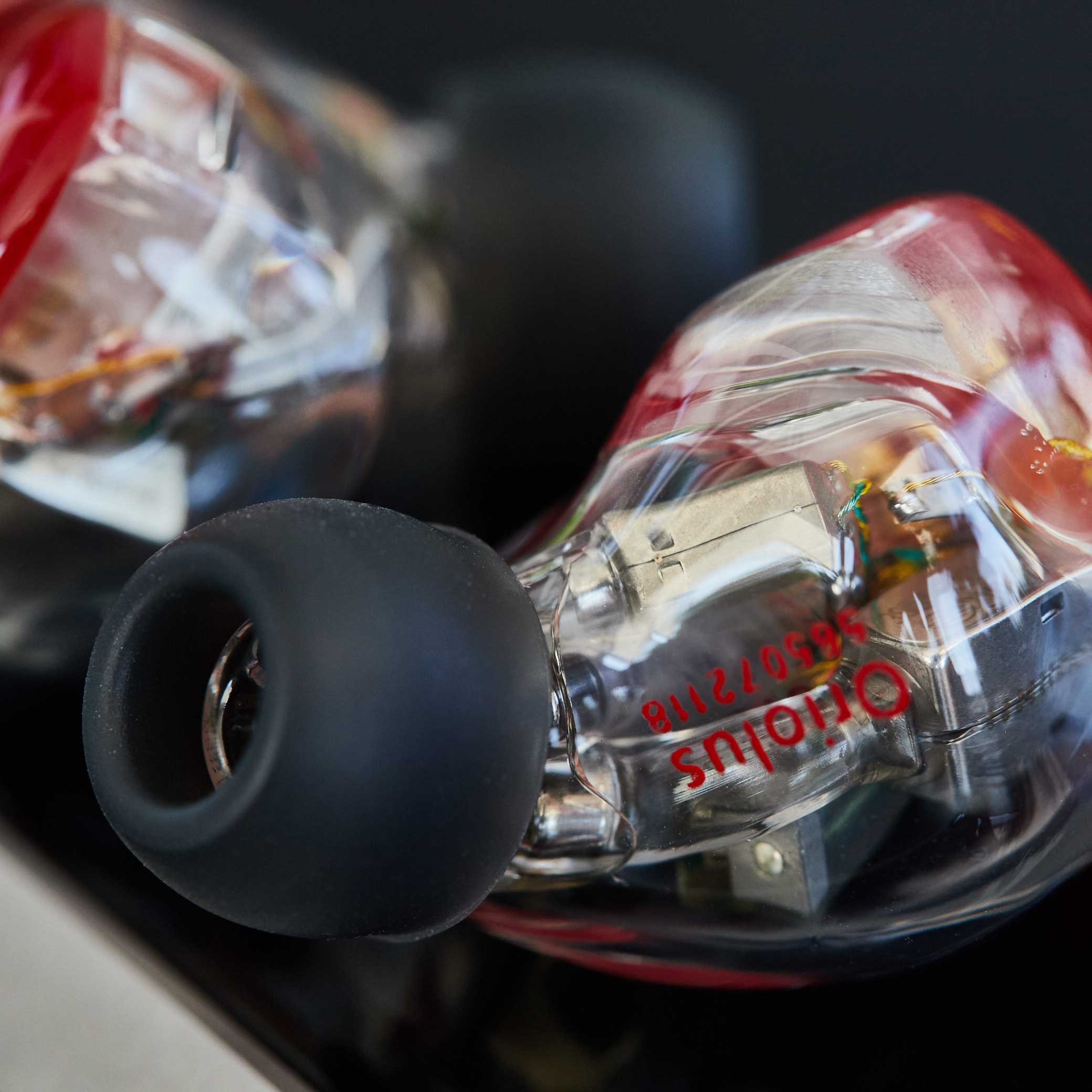 Oriolus Traillii JP – Audio Essence