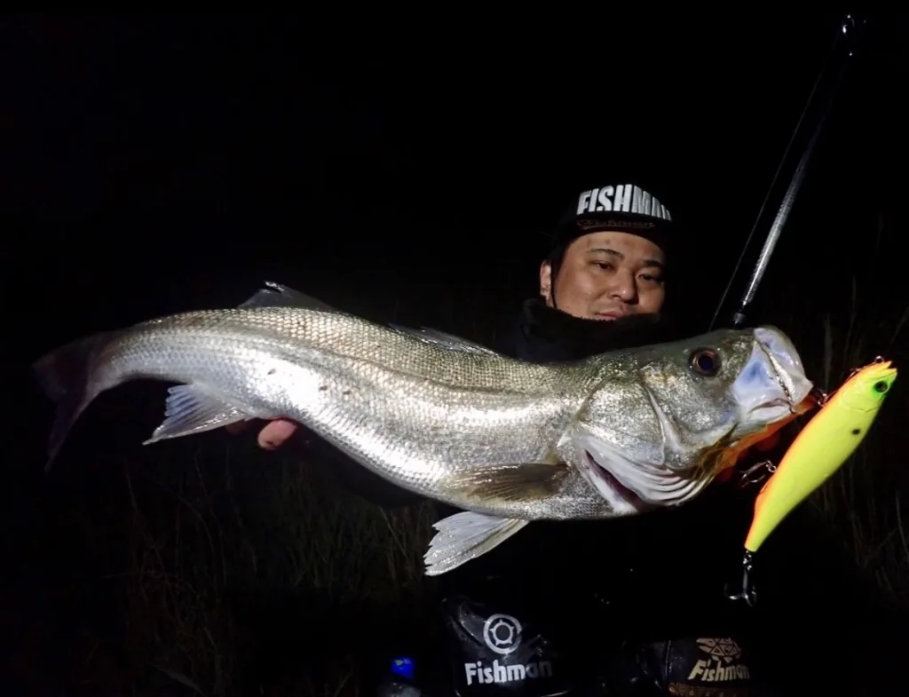 目指したのは究極の汎用性】1本であらゆるシチュエーションを攻略する