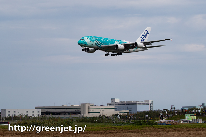 10.22 フライングホヌ ターコイズグリーン 1/150 10.22 フライングホヌ