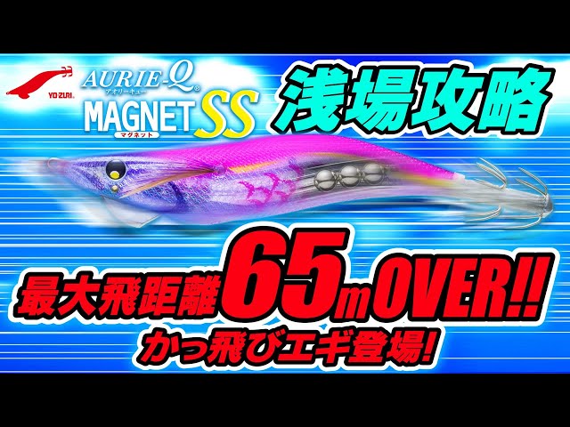 アオリーQ® マグネット SS - 釣具の総合メーカー デュエル