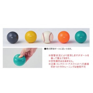 プライオボール 150 Small ウェイトボール D5276