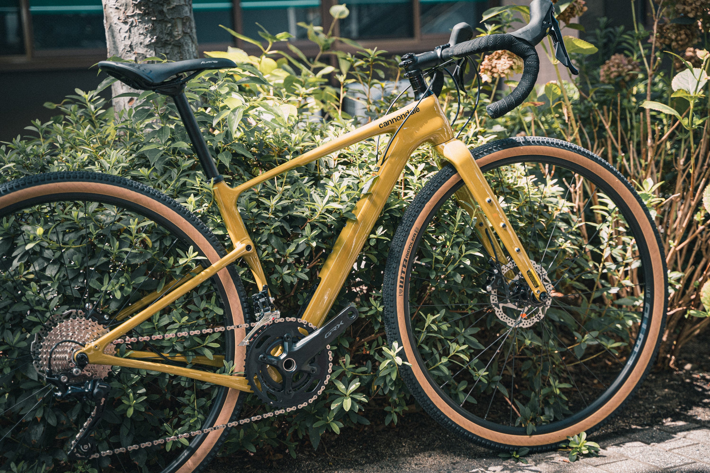 Sebastian Lampen キャノンデール トップストーン カーボン Topstone