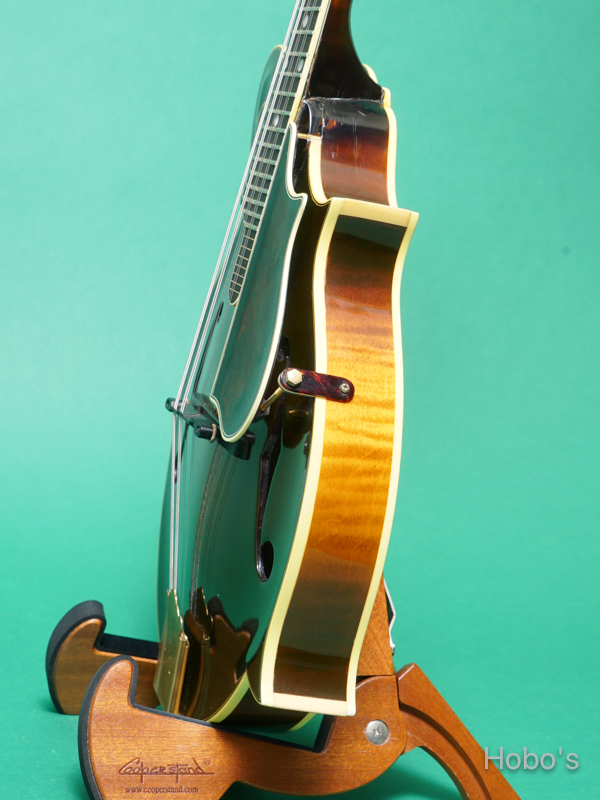 在庫情報/GIBSON F-5L | Hobo's