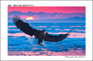 岸本日出雄の北海道コマーシャルフォト