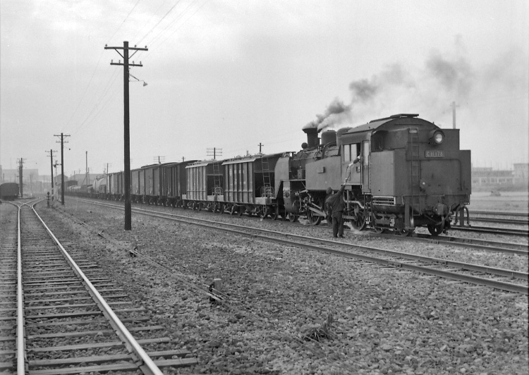 天賞堂 C11 3次型 標準タイプ