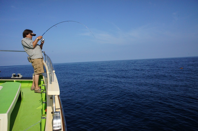 村田基どっとこむ