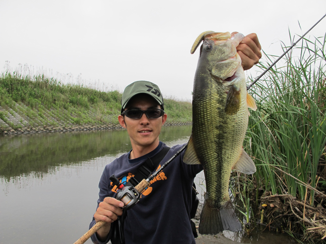 一年でもっとも釣れる時期に突入です!ここ最近好調なのがドライブ