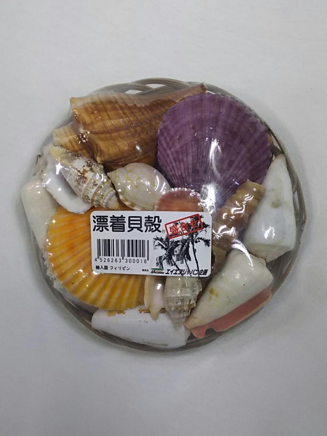 漂着貝殻 貝がらセット 【アクアフィールド】熱帯魚・水草の通信販売