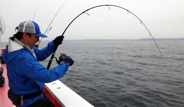 カーペンター BLC80／13 ブルーチェイサー