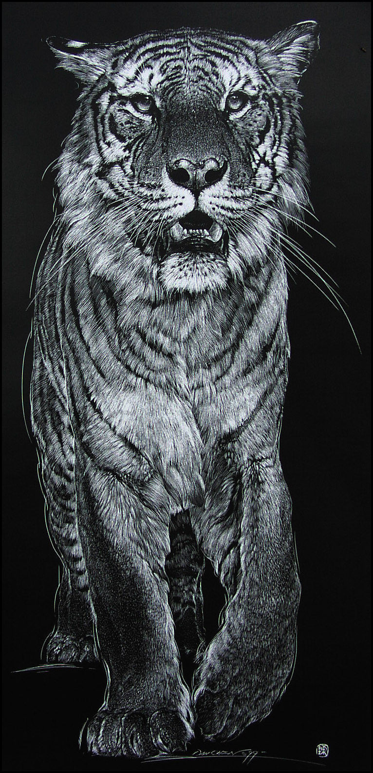 Tiger - Scratch Board Print – Dan Chen - Nature and Wildlife Artist