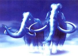 ホンモノのマンモスを愛・地球博会場へ 「愛・地球博マンモス発掘