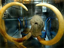 愛・地球博閉幕後データ集