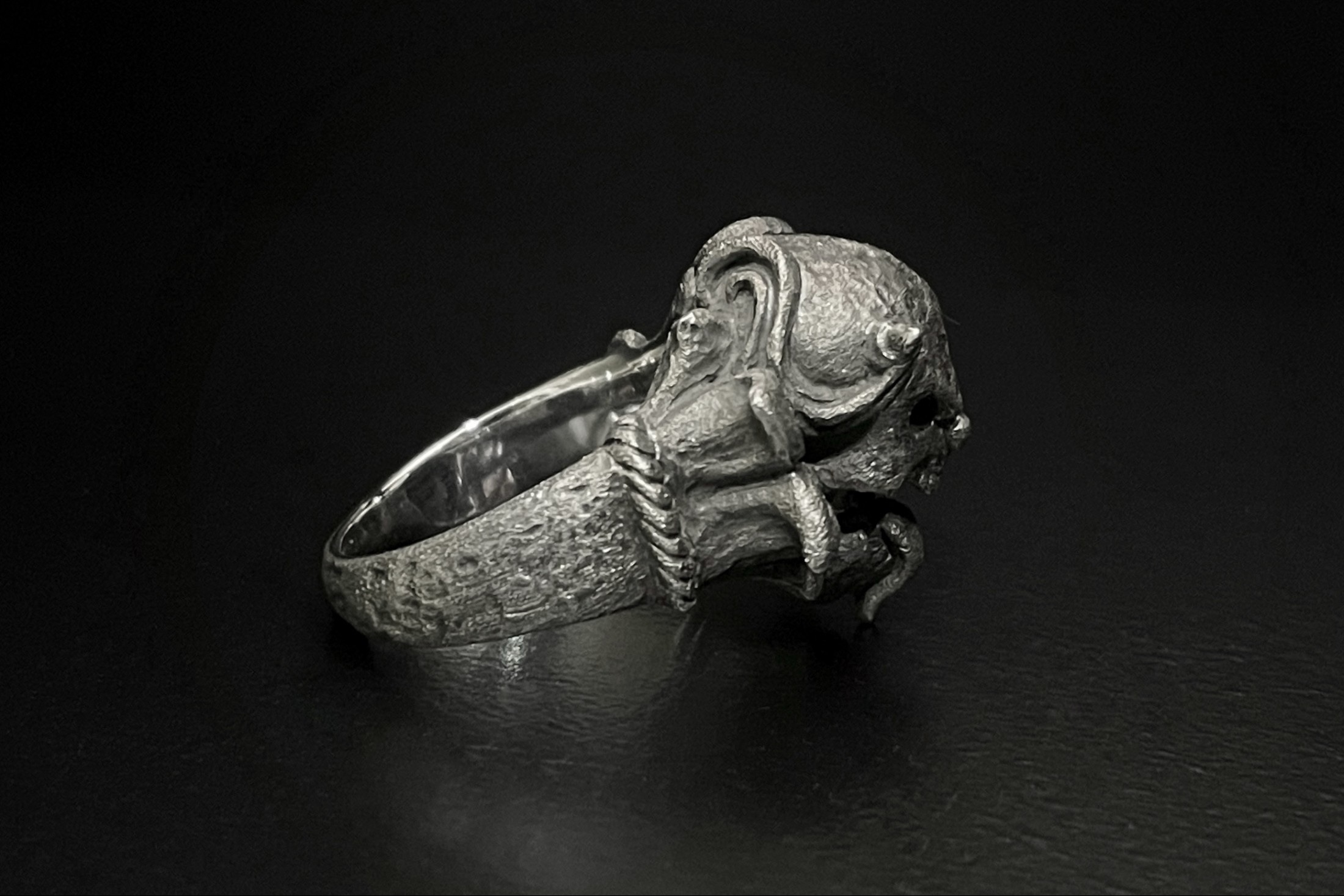 ルーズスウィルリング/F.A.L