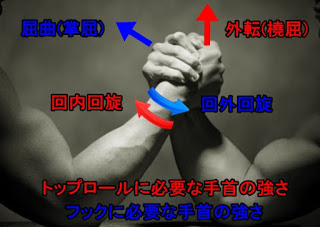 腕相撲(アームレスリング)に必要な手首の強さと前腕筋群の鍛え方
