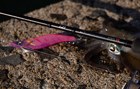 エメラルダス ストイスト RT IL（インターラインモデル）(ロッド)｜DAIWA