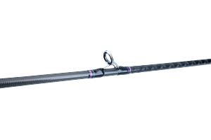 紅牙 X(ロッド)｜DAIWA