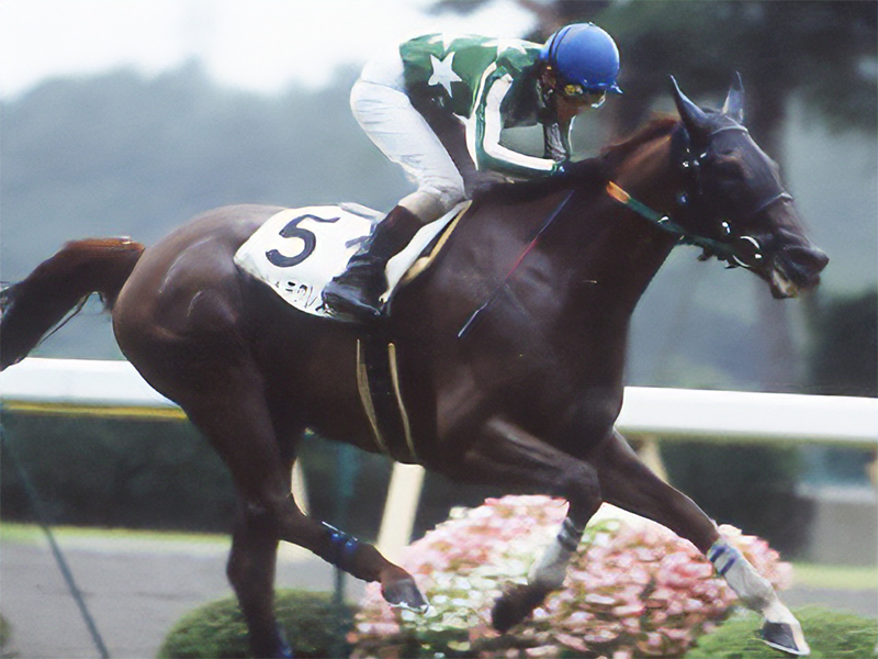 活躍馬リスト | 大樹レーシングクラブ公式サイト