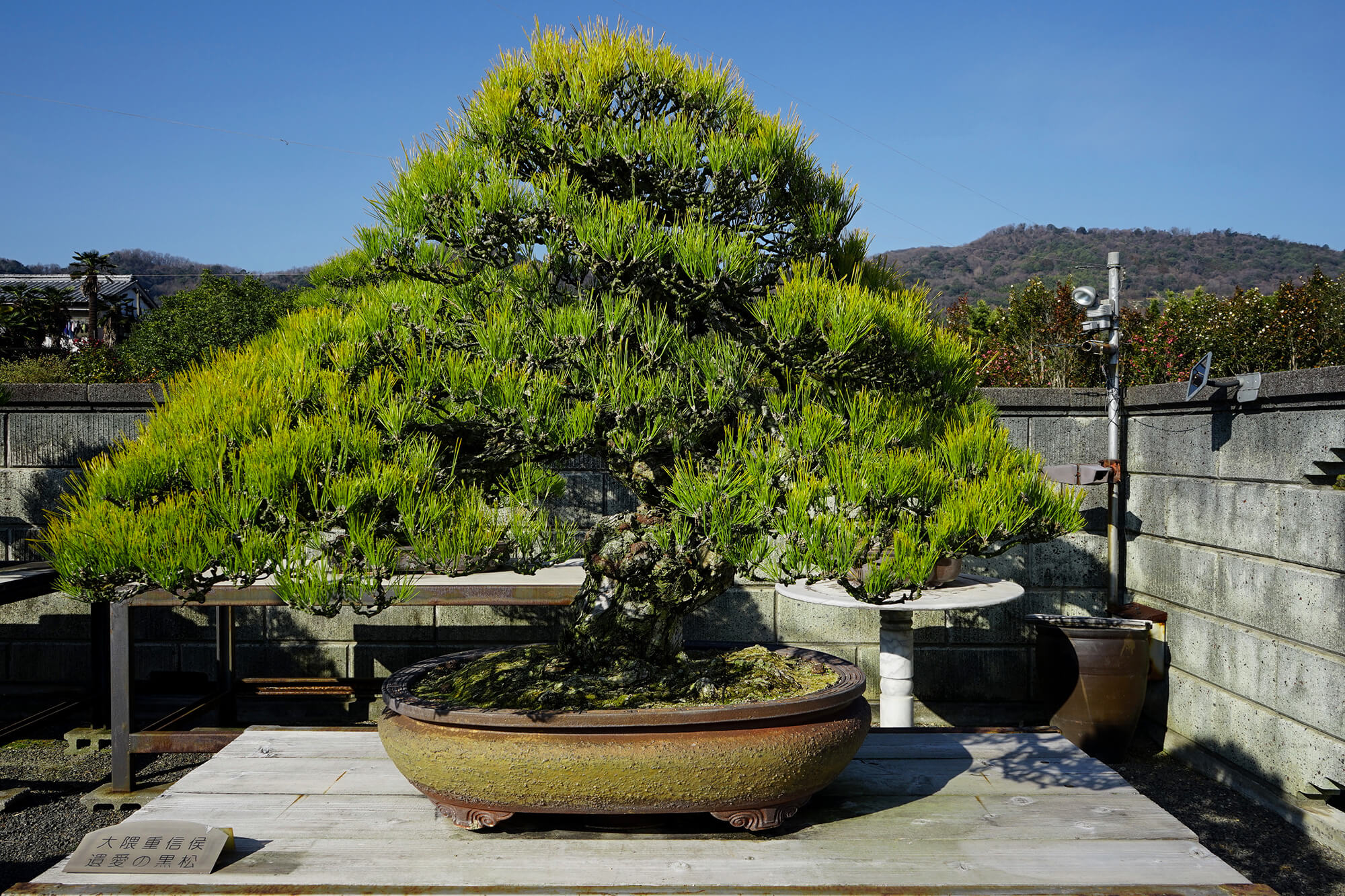 和の趣と美しさを鑑賞できる、松の魅力あふれる園「神髙松寿園
