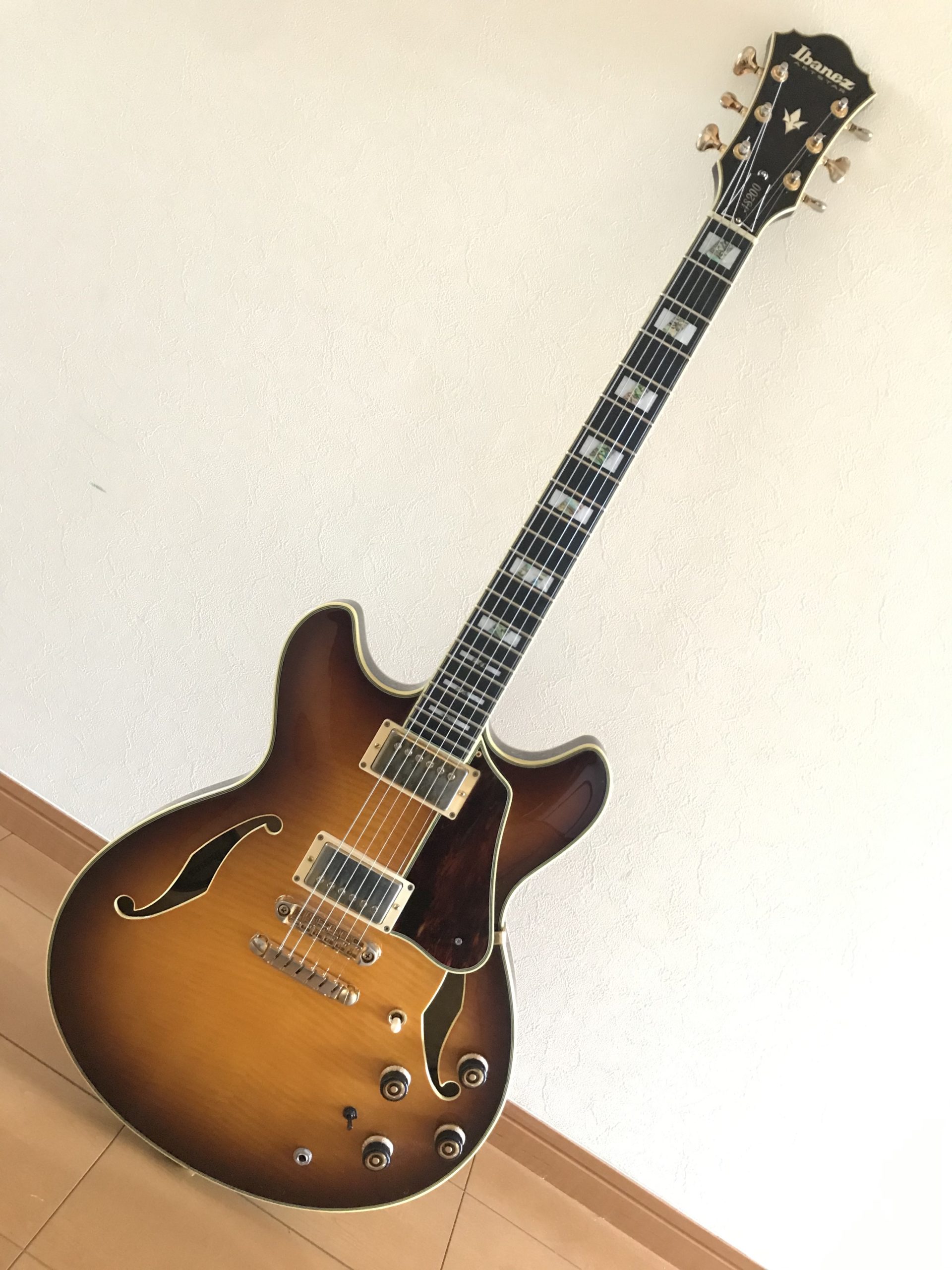 Ibanez | アイバニーズ | エレキギター | semi-hollow|