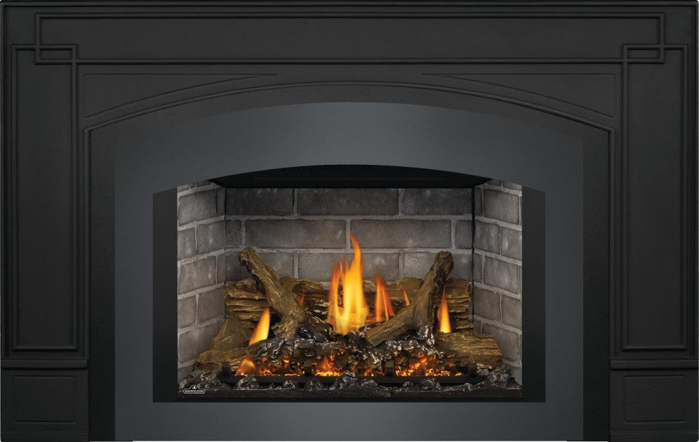 Napoleon Oakville X3 Direct Vent Gas Fireplace Insert – The Great