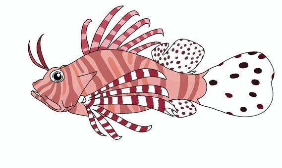 魚（ハナミノカサゴ）イラスト - No: 25586094｜無料イラスト・フリー