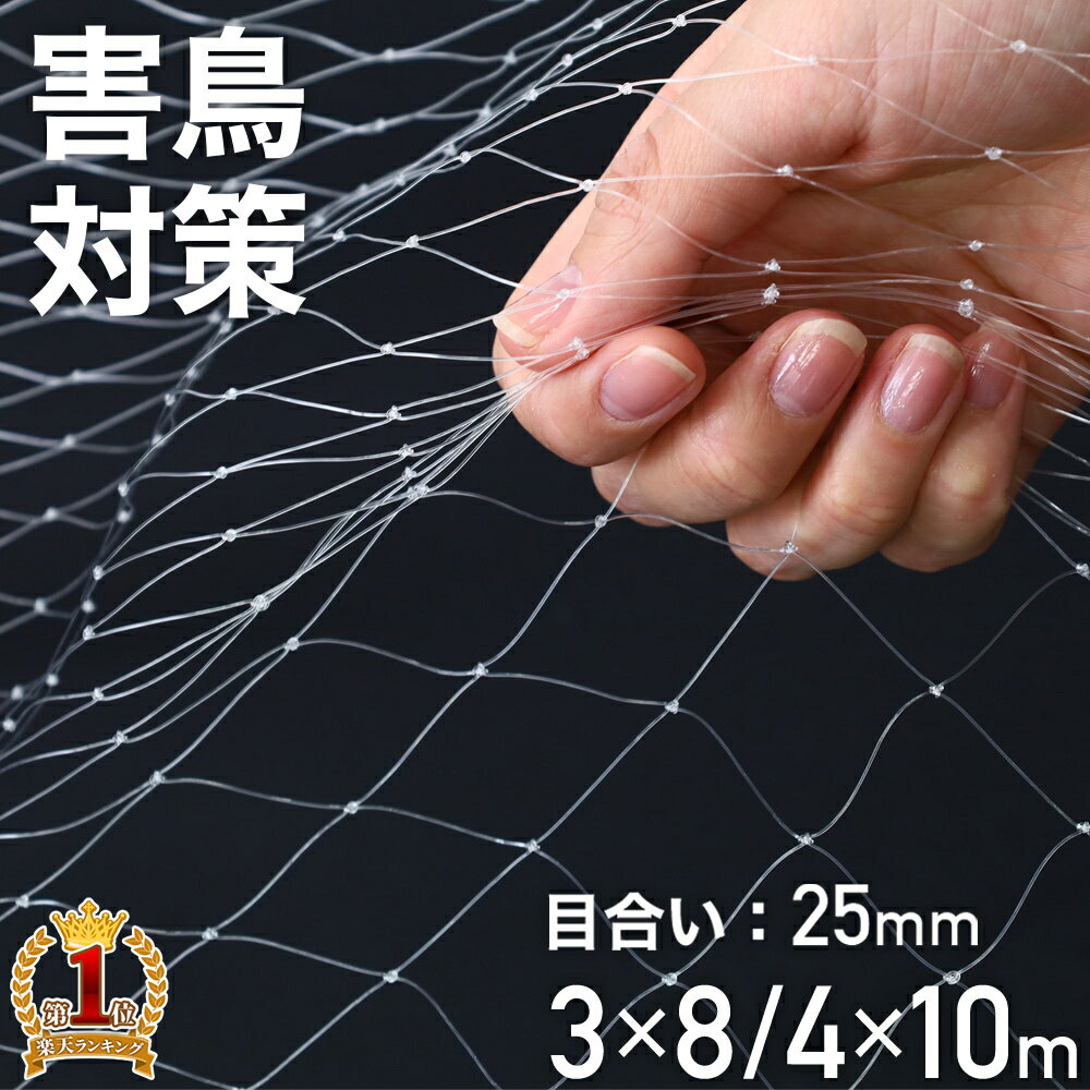 楽天市場】安全 ネット 5m ×5mの通販