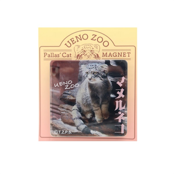 商品詳細ページ