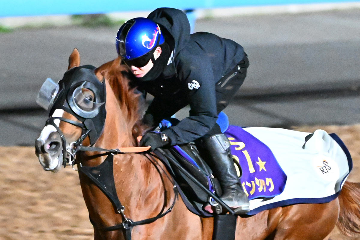 アーバンシックは金鯱賞で復帰へ【次走報】 | 競馬ニュース・特集なら