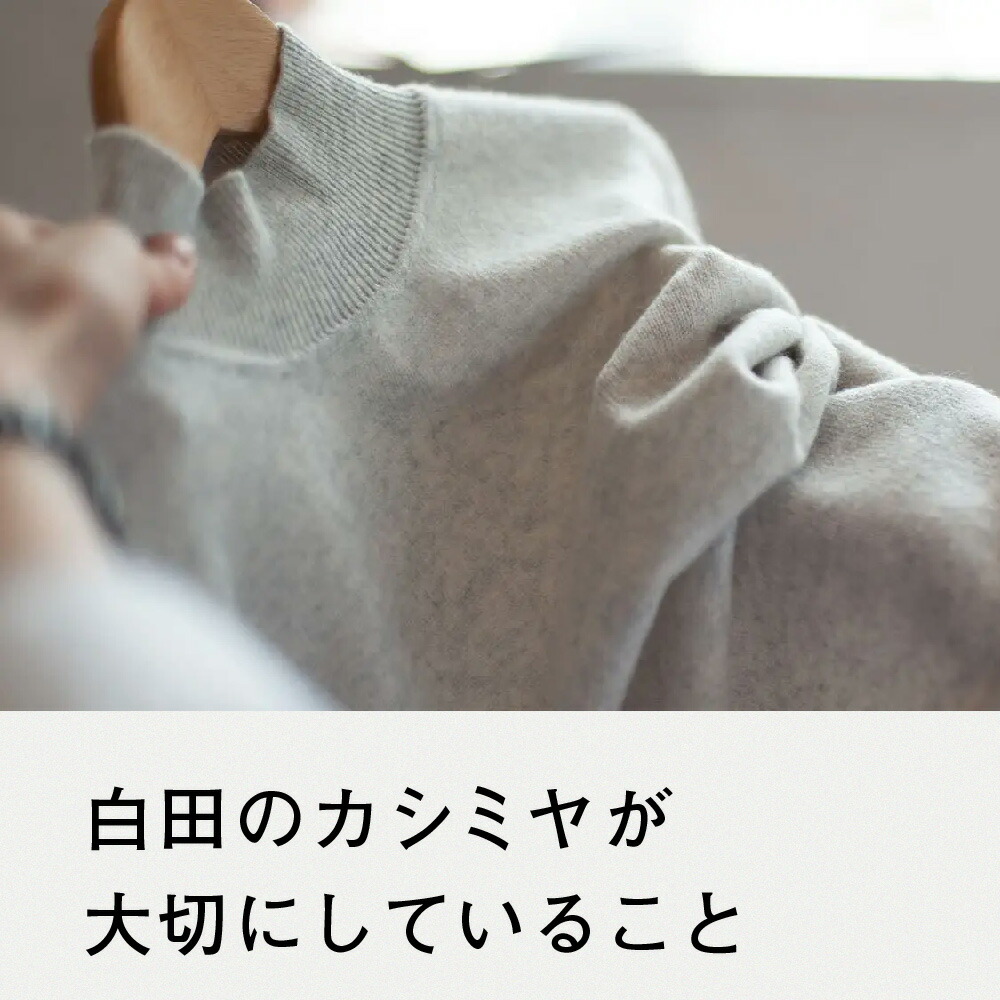 楽天市場】【ふるさと納税】服 メンズファッション Vネック