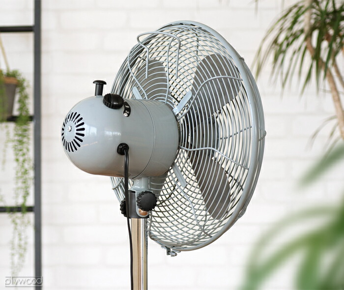 楽天市場】【選べる特典付】 扇風機 ハモサ レトロファンフロア 2023年