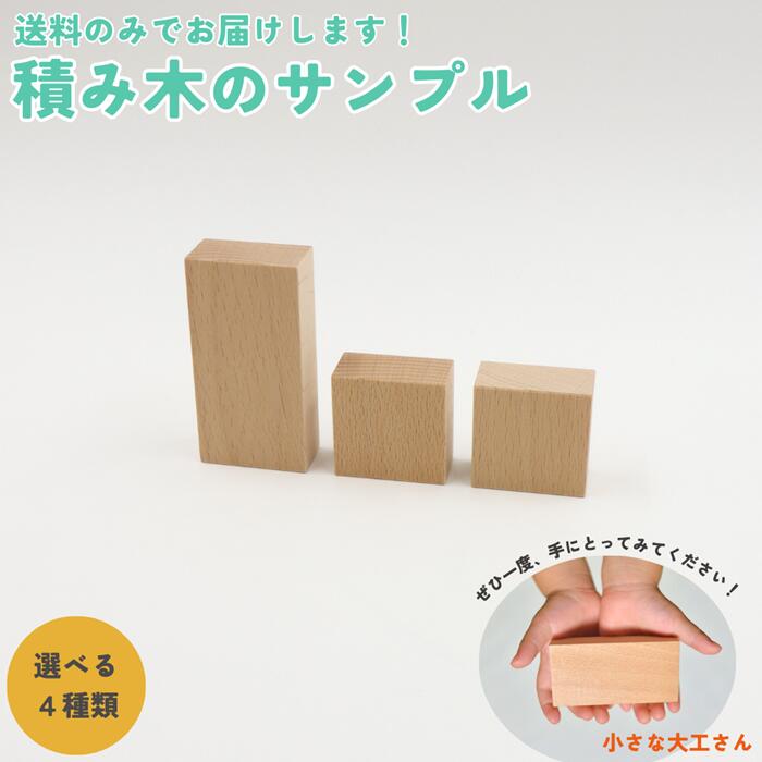 楽天市場】【送料のみでお試しいただけます】小さな大工さん 積み木の