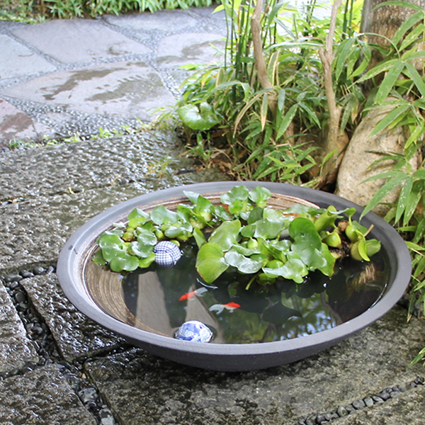楽天市場】【38時間限定20%OFFクーポン配布中】睡蓮鉢 大型 メダカ鉢