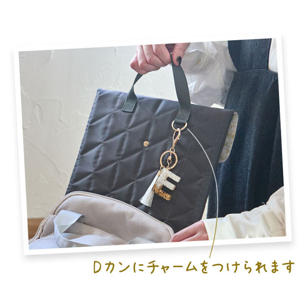 楽天市場】ノフェスモバイルクローゼット プリズムスリーブケースL [全