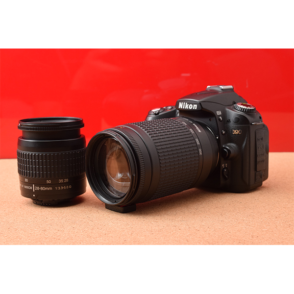 初心者用の一眼レフカメラ専門館TSS / 30,001～40,000円