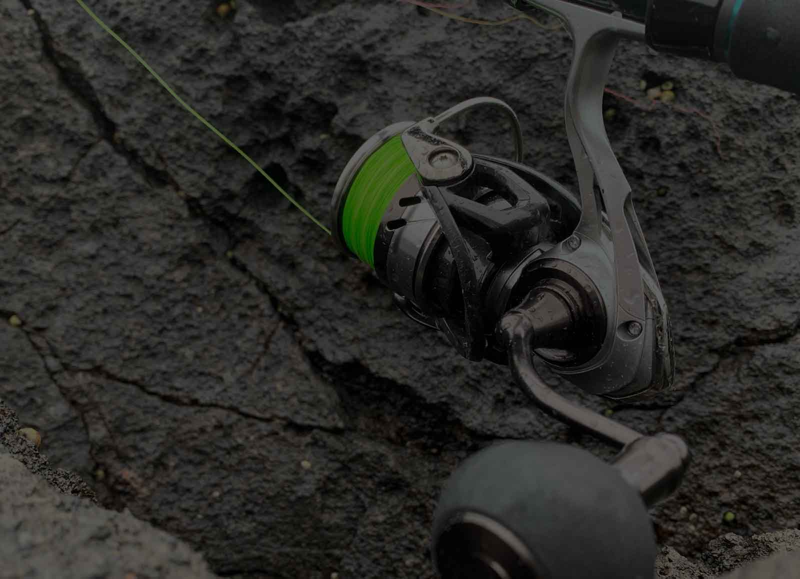 ステファーノ SSの番手・歴代別スペックとライバルモデル