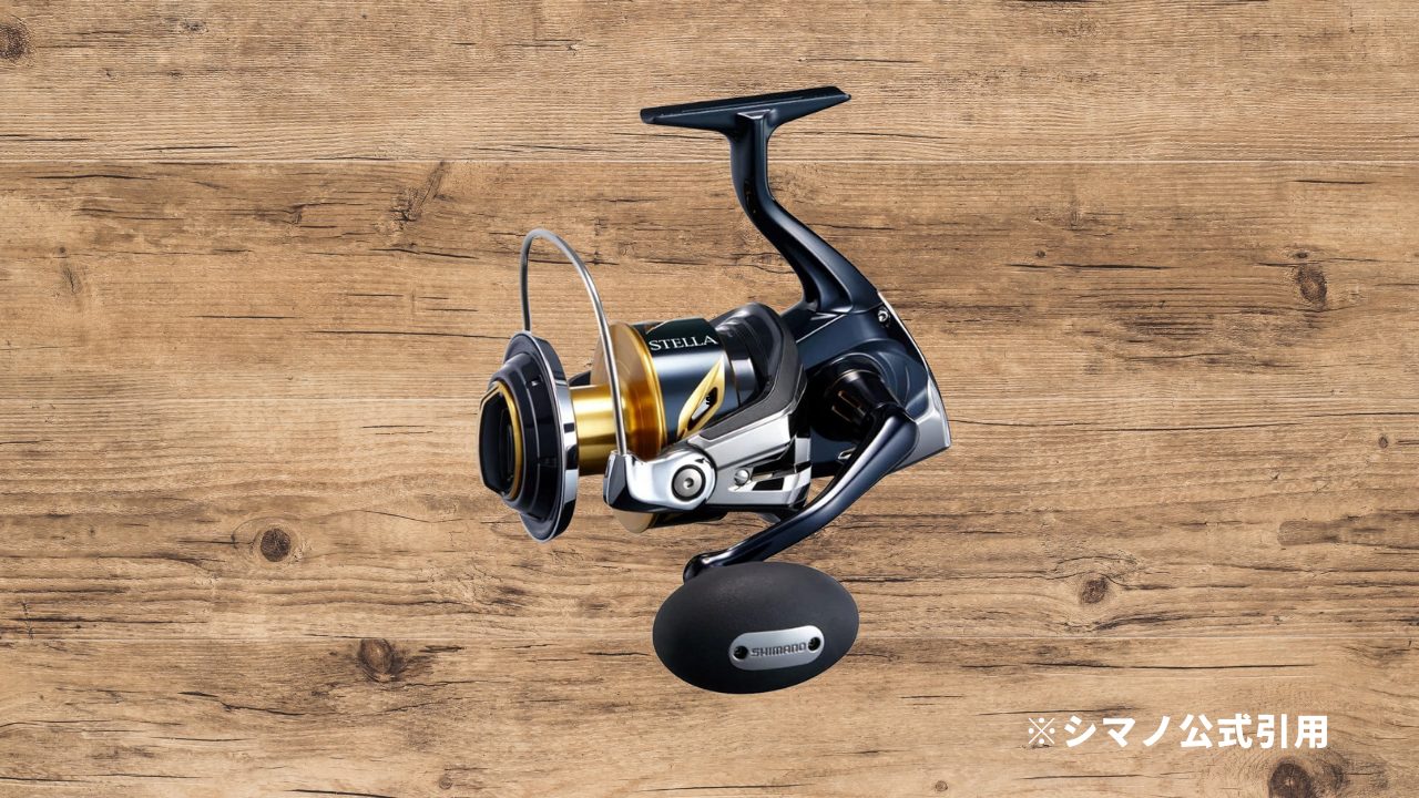 25ステラ SW 10000PG｜ローギアで強化された巻き上げ力と耐久性が魅力