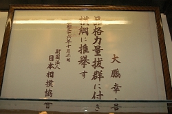 横綱(三十三)免許状など