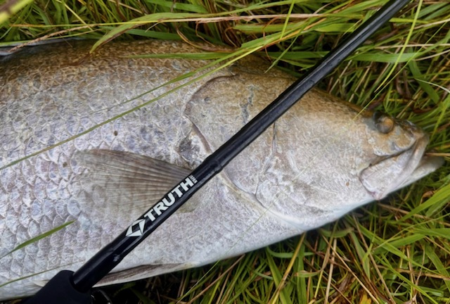 Permission 97SMH (SeaBass Spinning Model) | TRUTH JAPAN