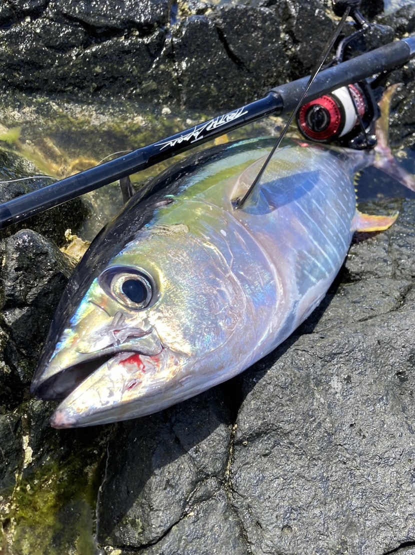 南海 ロックショアキャスティング (BlackDimension106MR Custom