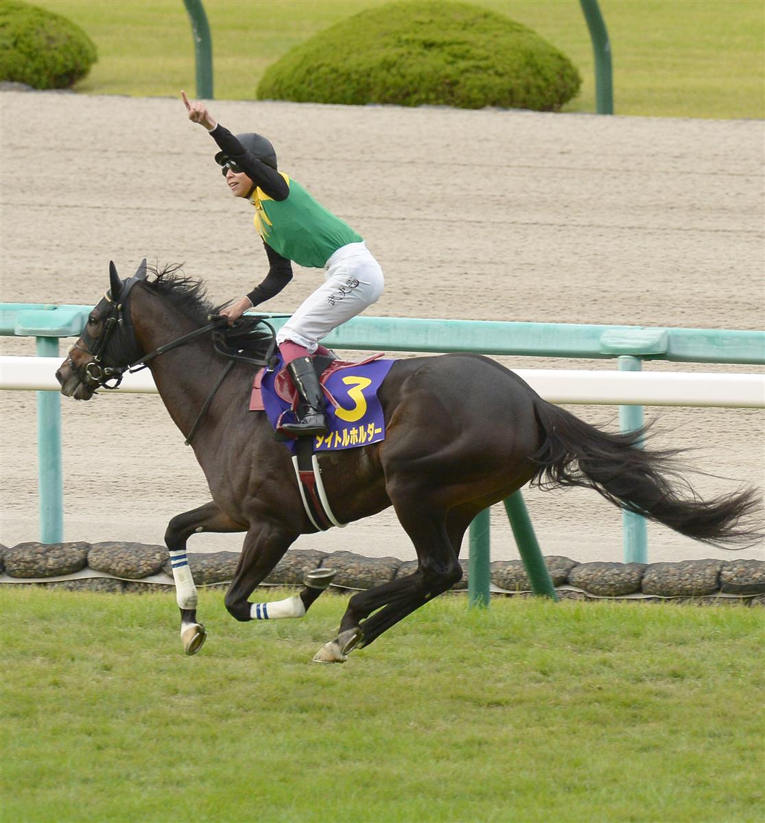 菊花賞】大逃げV！タイトルホルダーがクラシック最後の一冠制す｜競馬