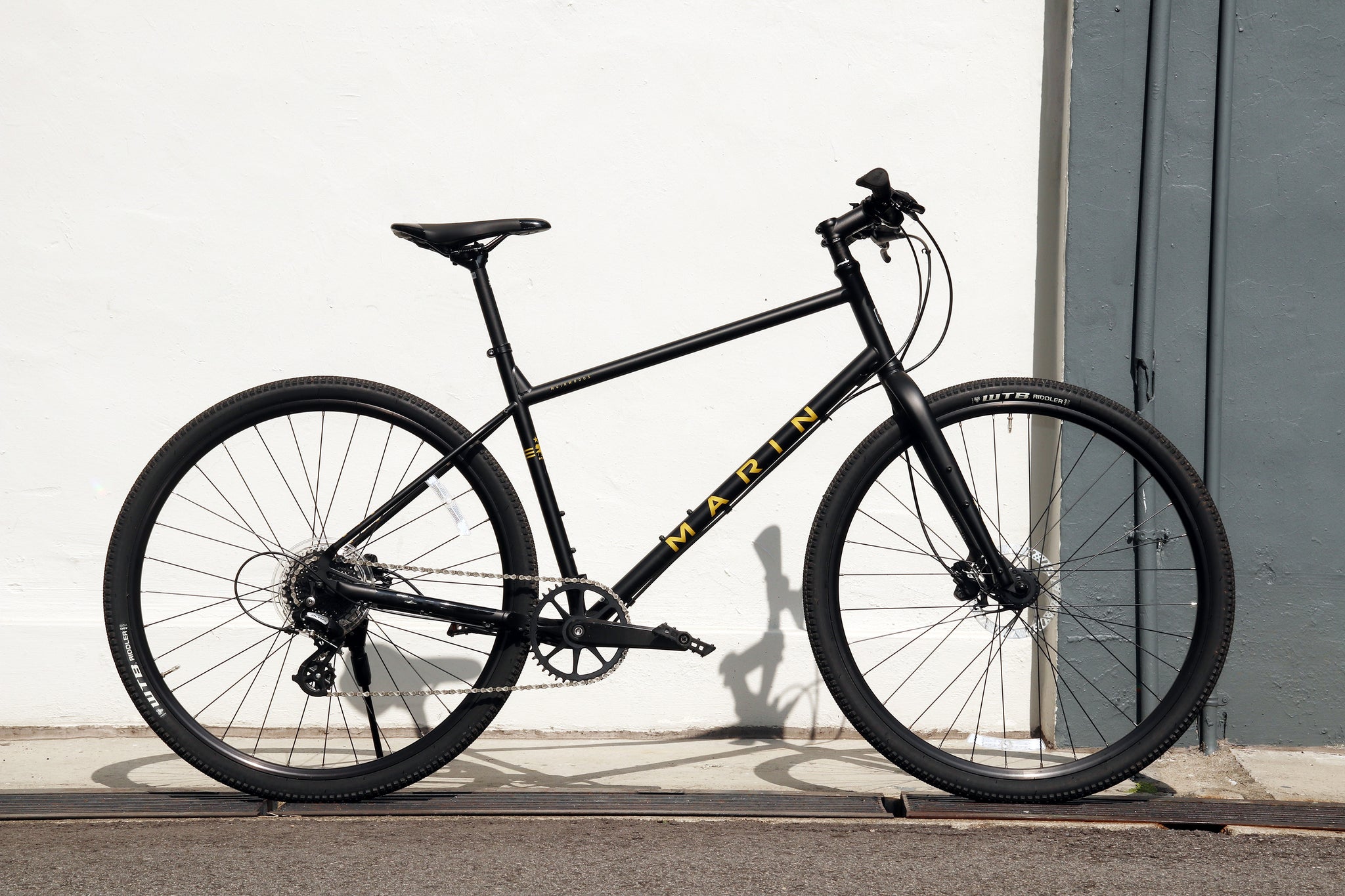 MarinMuirwoods001_2048x.jpg?v=