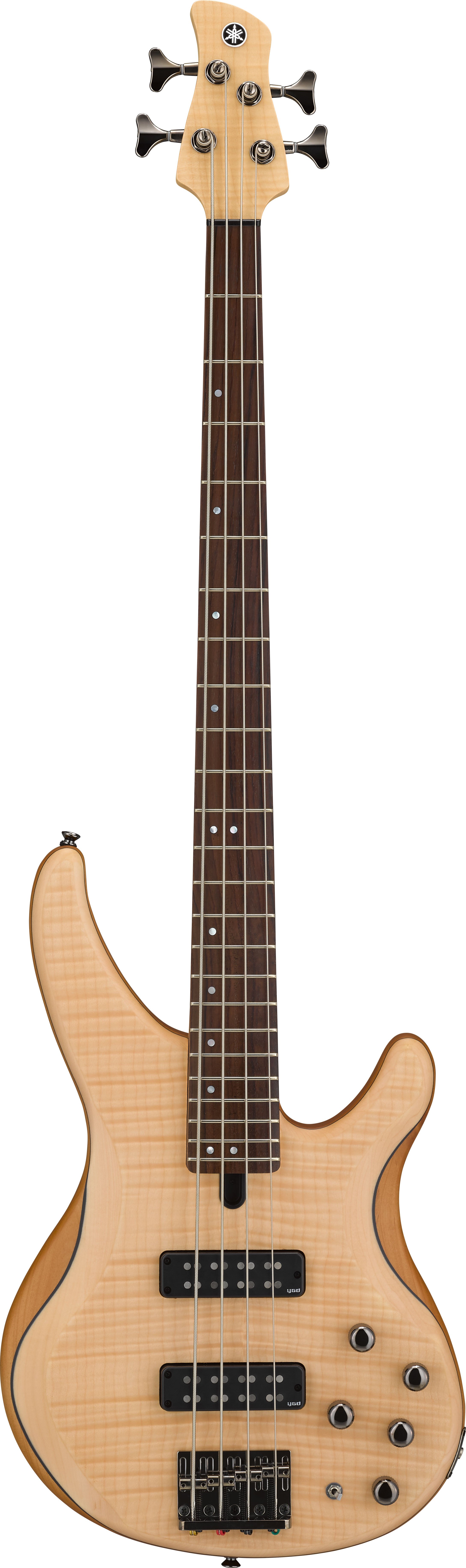 TRBX - 600 Series - Basses - Guitars, Basses & Amps - Musical