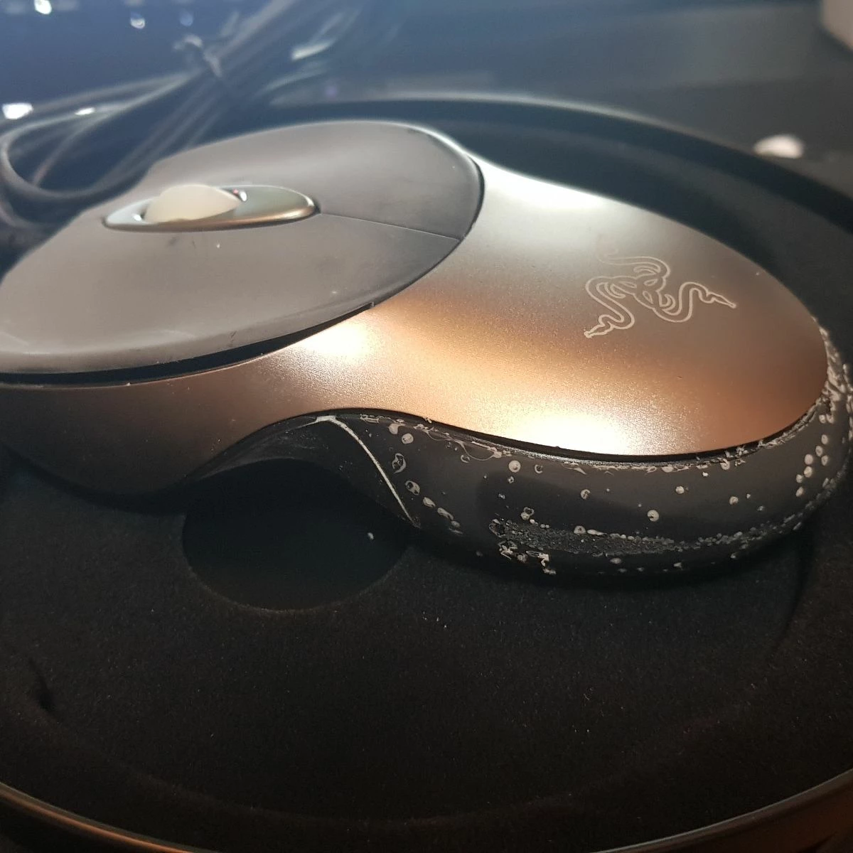 Finally opened Boomslang 2007 Collectors Edition | Razer Insider