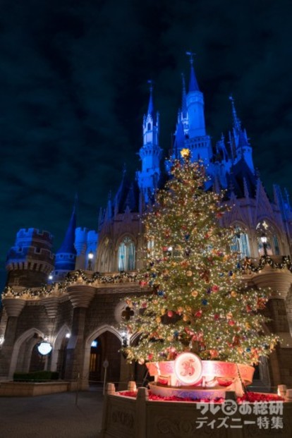 ディズニー・クリスマス】遠方民のためのTDL攻略法まとめ 35周年