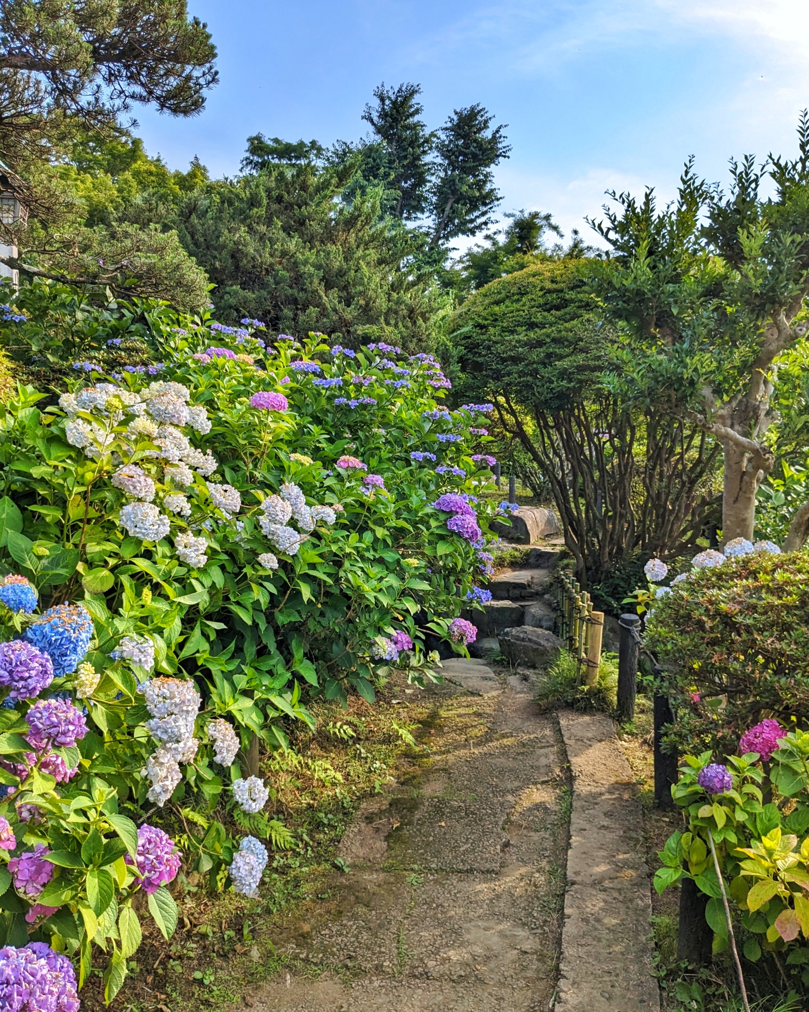 Howaen Garden | Visit | IBARAKI GUIDE