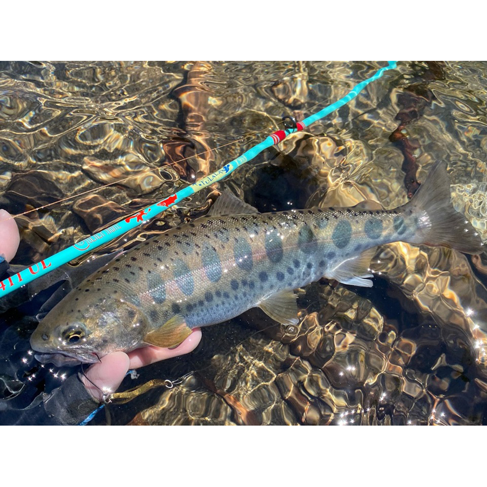 TULALA ツララ トリュテ クレールス 411UL(ヤマト運輸配送サイズ