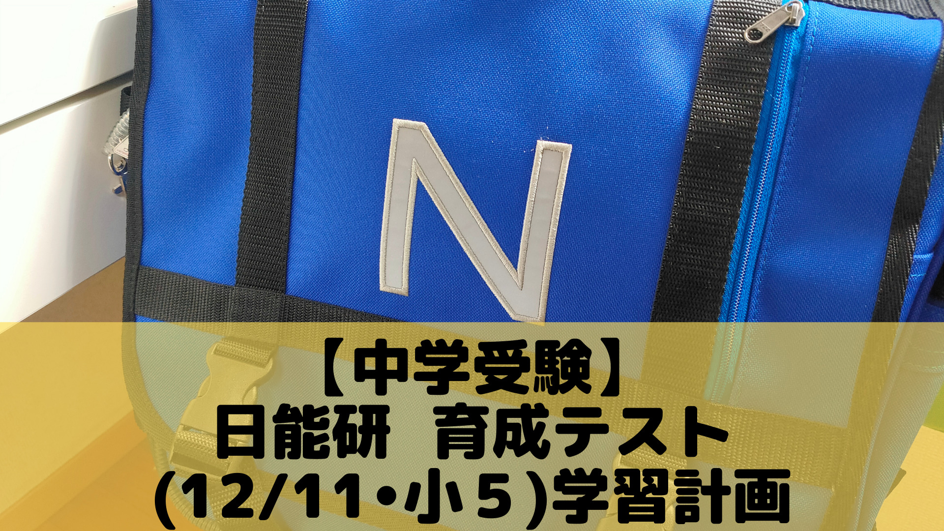 中学受験】日能研 育成テスト(12/11•小5)学習計画 | ポチたま中学受験