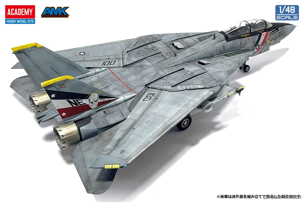 F-14D スーパートムキャット `VF-2 バウンティハンターズ` (プラモデル