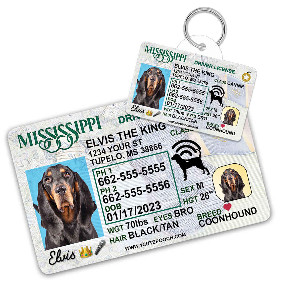 Mississippi2-Driver-License-ID